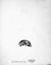 Hypoxylon fuscum image